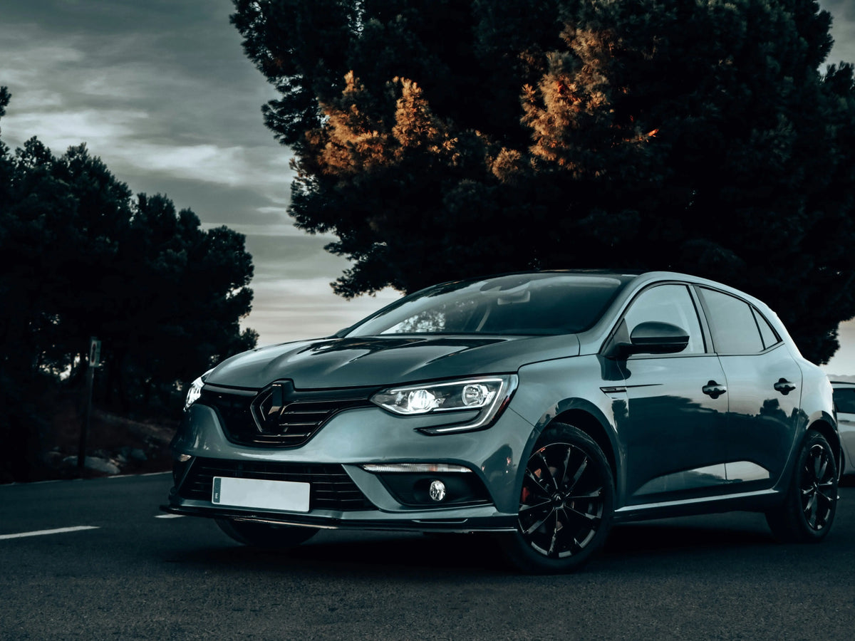 Clio 3 RS
