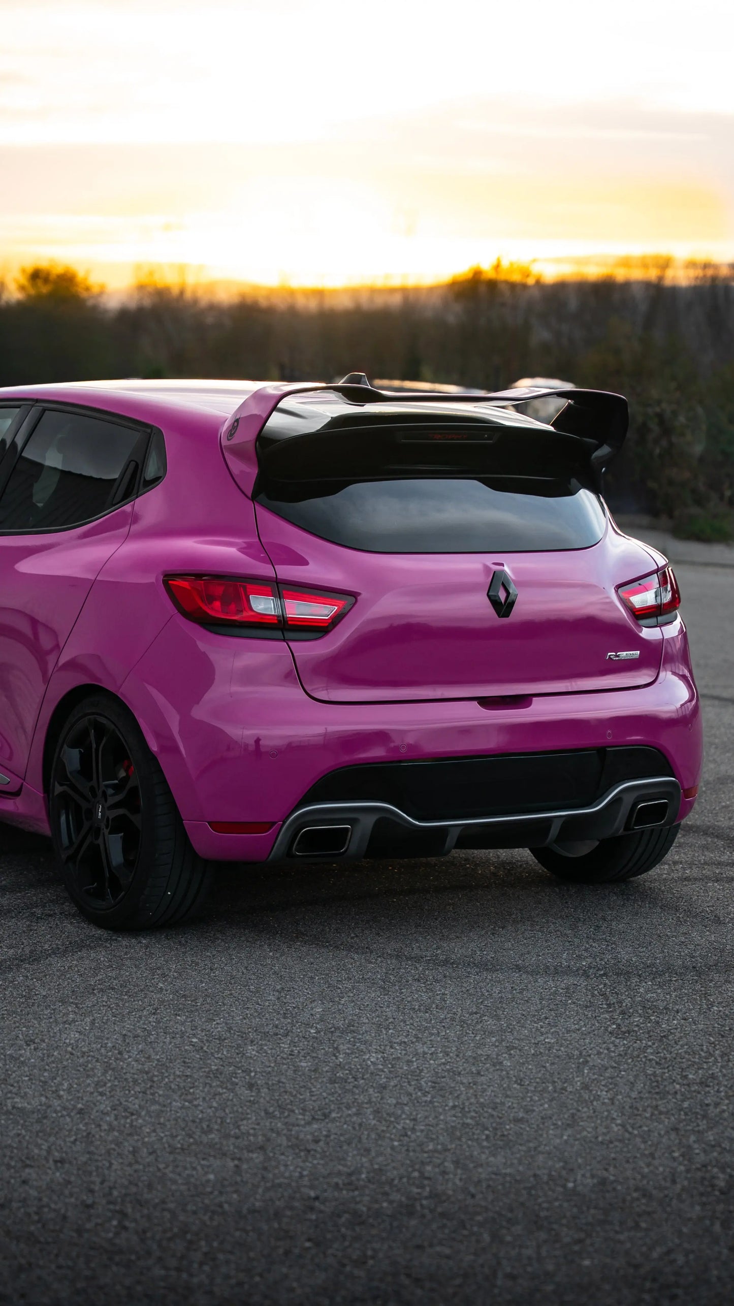 Aileron Cup Clio 4 Rs Flexoauto